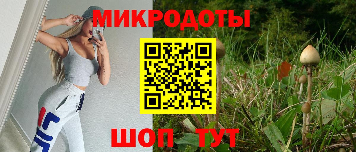 Псилоцибиновые грибы MAGIC MUSHROOMS Прохладный